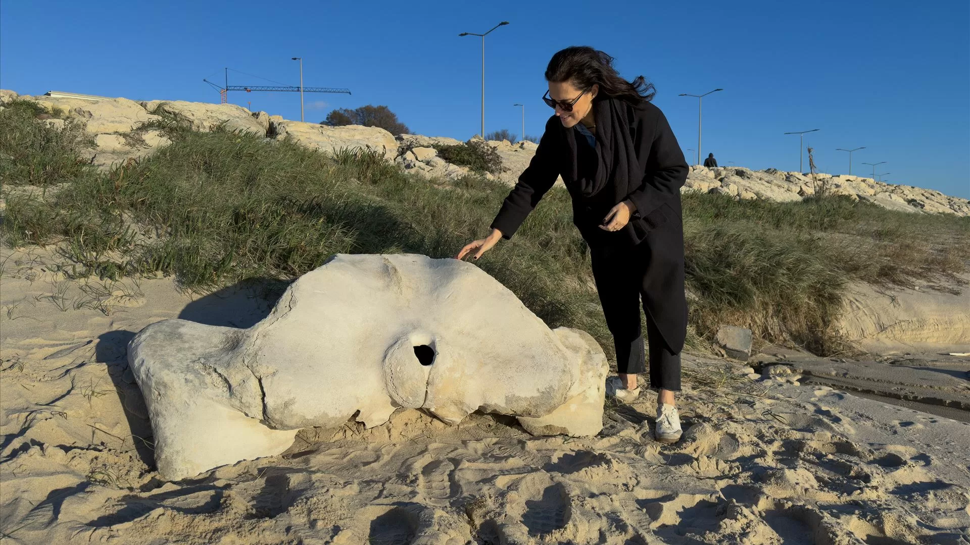 Osso de baleia com milhares de anos removido da praia para museu da Figueira da Foz