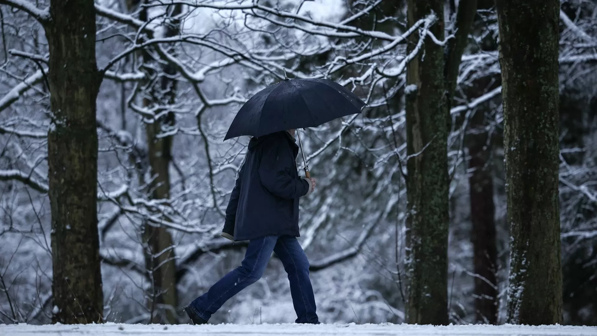 IPMA alarga aviso amarelo para frio a nove distritos e prolonga-o até quarta-feira