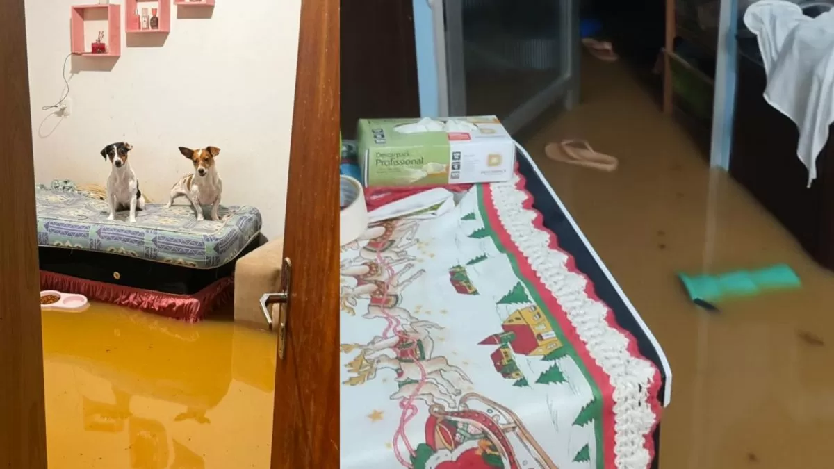 Chuvas intensas causam desalojamentos e desmoronamentos em Timbó