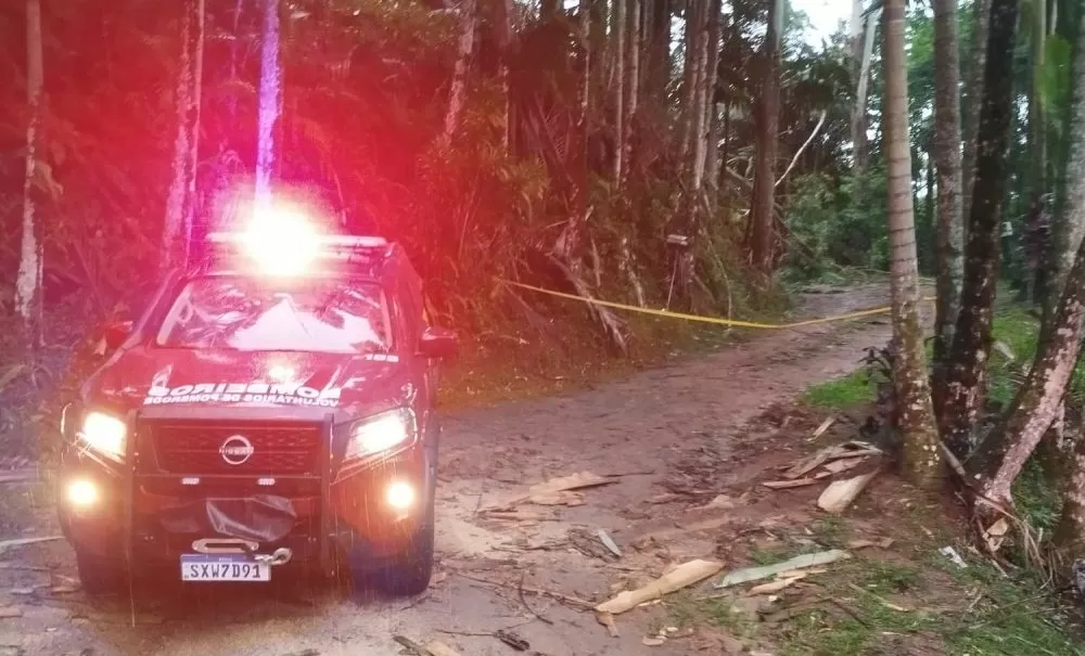 Homem morre após ser atingido por árvore em Pomerode