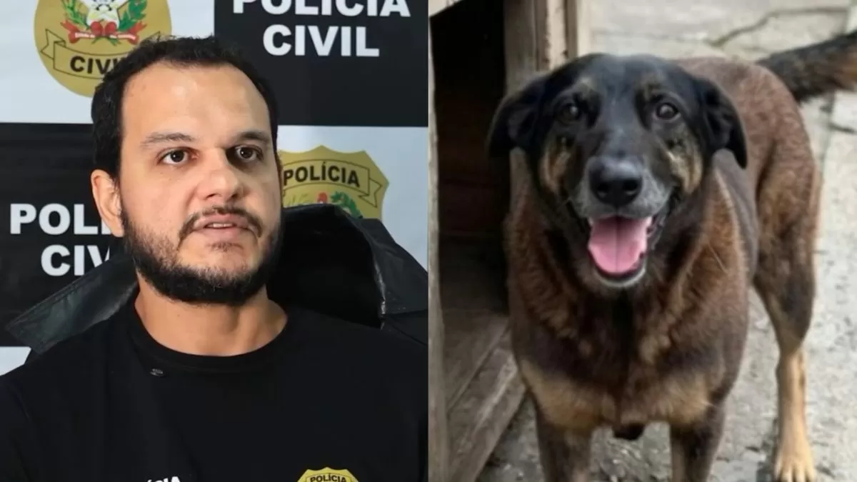 Polícia pede internação de adolescente investigado pela morte do cão Orelha em SC
