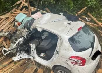 Condutor e cachorro morrem após colisão frontal contra caminhão em Alfredo Wagner