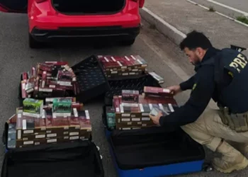 Cigarros eletrônicos e cigarros saborizados contrabandeados são apreendidos na BR-101 em Itapema