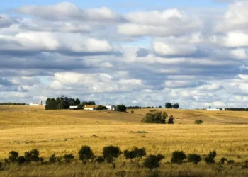 Alentejo vai apoiar empreendedorismo “justo e sustentável” com fundo de 1,5 milhões