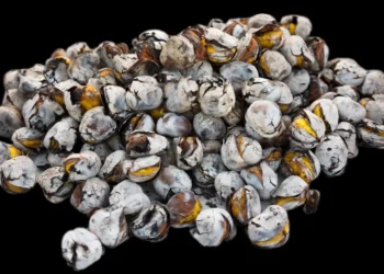 “Perspectivas do Mercado Imobiliário na Costa del Sol: Entrevista com Olívia Traven”