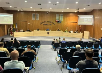 Projeto aprovado na Câmara de Timbó exige que terceirizadas comprovem idoneidade dos funcionários