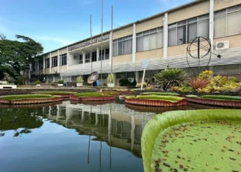 Novas eleições em Indaial? Julgamento para definir o rumo político da cidade já foi agendado