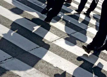 Sabseg lança plataforma sobre seguro de crédito e cauções