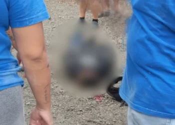 Homem é baleado durante tentativa de assalto em empresa na BR-470