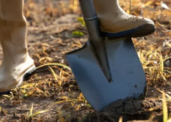 Homem é atacado com facão e pá após discussão sobre dívida de terreno em Brusque