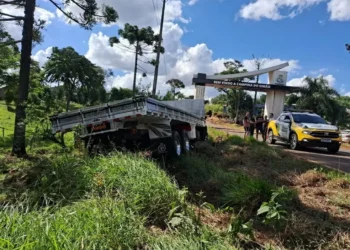 Dois irmãos morrem após caminhão de SC invadir contramão em rodovia do Paraná