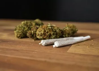 Morador de Goiânia denuncia golpe após pagar por maconha e não receber a droga