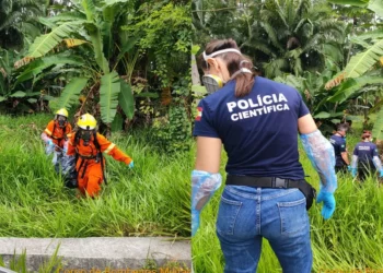 Corpo é encontrado em área de mata às margens da BR-470, em Gaspar