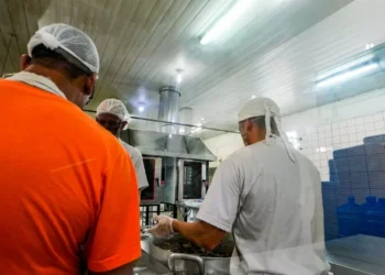 Sistema prisional de SC se destaca na ressocialização pelo trabalho com arrecadação de R$ 28 milhões