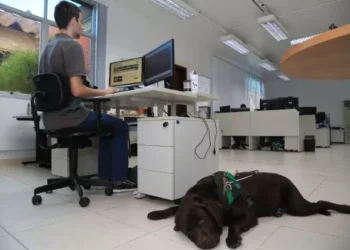 Cresce a empregabilidade da pessoa com deficiência no mercado de trabalho formal em SC