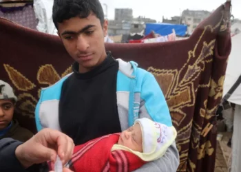 Cerca de 14 mil bebês correm risco de morte em Gaza nas próximas 48 horas, alerta ONU