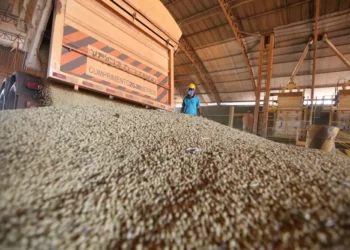 França diz que Comissão Europeia quer ‘impor’ acordo entre Mercosul e UE