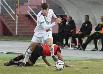 Últimas da Portuguesa: atacante é suspenso pelo STJD, Lusa cai na classificação geral e mais