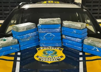 Tentou fugir, mas levou a pior! Após tentar escapar da PRF, motorista é preso com 25 kg de cocaína em SC