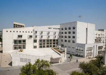 ISCTE anuncia criação do Observatório de Estudos da Palestina