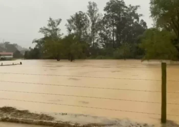 Governo de SC investe R$ 21 milhões em desassoreamento de rios em Rio do Sul