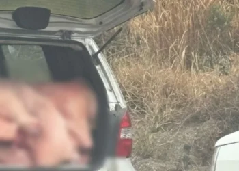 Caminhão carregado com carne tomba em Pouso Redondo e carga é saqueada