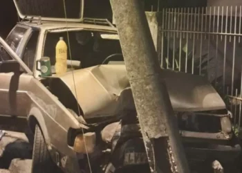 Adolescente de 14 anos colide contra poste ao tentar desviar de gambá em Pomerode