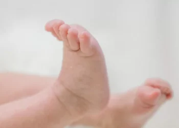 Recém-nascidos recebem antídoto para picada de cobra em vez de vacina em hospital de SC