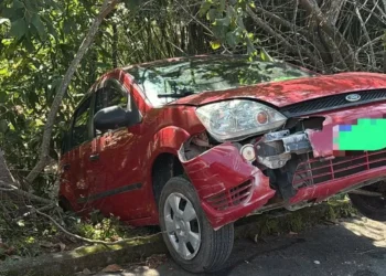 Motorista perde controle e carro fica pendurado em barranco em Apiúna