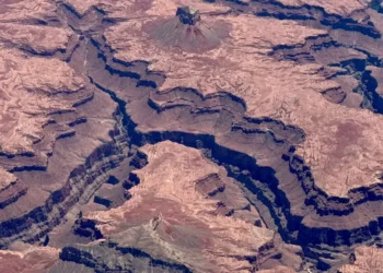 Grand Canyon é evacuado devido a um incêndio florestal