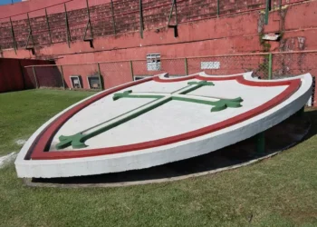 Portuguesa encerra temporada mais curta do século após eliminação na Série D