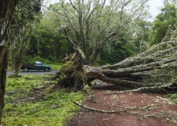 Furacão Gabrielle provocou 255 ocorrências e 16 desalojados nos Açores