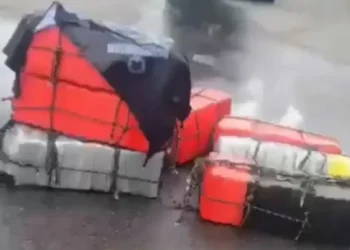 Mergulho de treinamento em porto de SC revela mais de 277 kg de droga em casco de navio