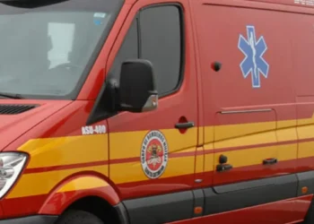 Pitbull ataca e fere alunas no braço e na perna em frente à escola em SC