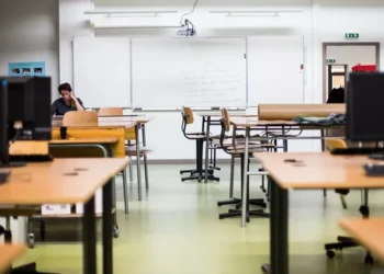 Detetado foco de infestação de pulgas em escola de Rabo de Peixe