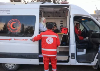 OMS pede abertura de corredores médicos para transferir 15 mil pacientes de Gaza que necessitam de tratamento