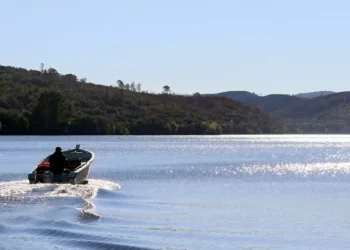 Pelo menos 200 peixes mortos encontrados na albufeira do Roxo