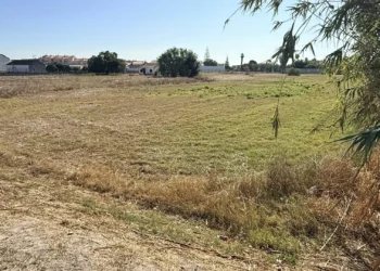 “Há coisas muito mais importantes”. Plano de mesquita em Samora Correia gera desconfiança em Benavente