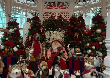 Natal no Norte Shopping terá apresentação da Banda dos Bombeiros de Indaial e campanha com sorteio de Jeep Commander