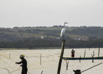 Gestão do seguro-defeso passa oficialmente ao Ministério do Trabalho