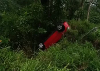 Motorista abandona veículo após capotamento na BR-470 em Rodeio