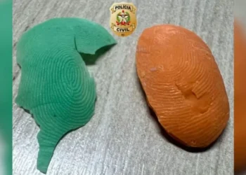 Fraude no ponto: dentista e auxiliar são presos em Schroeder com digital de silicone