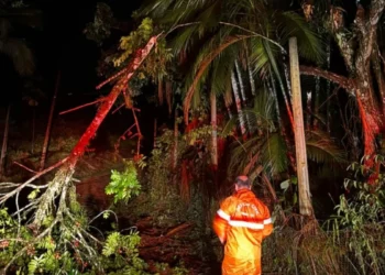 Prefeitura de Timbó intensifica ações para reparar danos e liberar vias após as chuvas