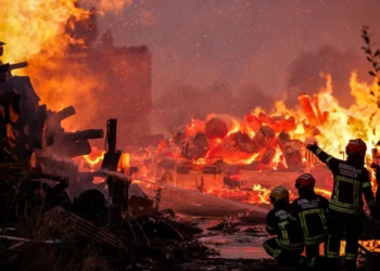 Empresas do PSI apontam incêndios florestais como o maior risco climático