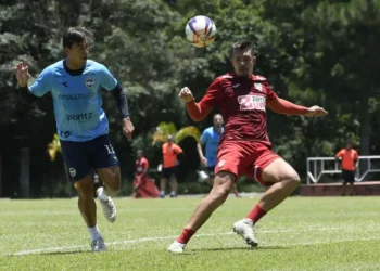 Últimas da Portuguesa: nova vitória em jogo-treino, gramado do Canindé passa por reforma e mais