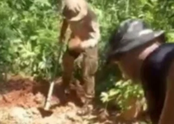 Suspeita de cemitério clandestino leva à descoberta de três corpos em SC