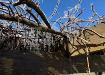 Temperaturas próximas de zero marcam a 1ª geada do ano em Santa Catarina