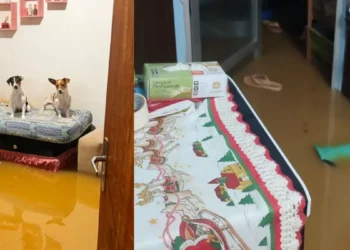 Chuvas intensas causam desalojamentos e desmoronamentos em Timbó