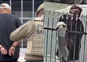 Homem flagrado furtando dois Shih Tzu, em Timbó, é preso por furto de bicicleta