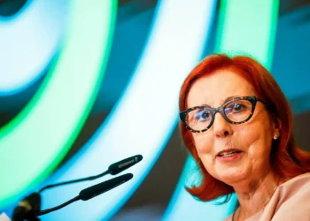 Providência cautelar tenta travar fim de mobilidades de professores em ONGA de Educação Ambiental